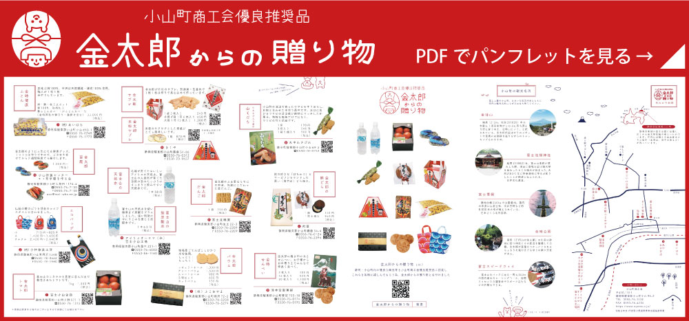 金太郎からの贈り物パンフレット表